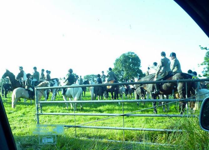 BeaufortFHFieldcubbingmeet10-9-17.jpg