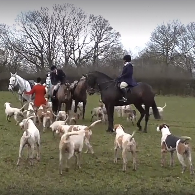 CheshireForestFHHuntsmanAndrewGermanwithhounds17-1-18.jpg