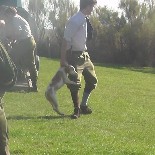 EtonCollegeBeaglesHuntershowingloveforhishound18-10-18.jpg